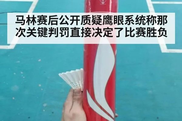 马林赛后公开质疑鹰眼系统称那次关键判罚直接决定了比赛胜负